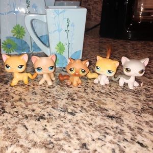 Littlest Pet Shop Short-Haired Cat Set